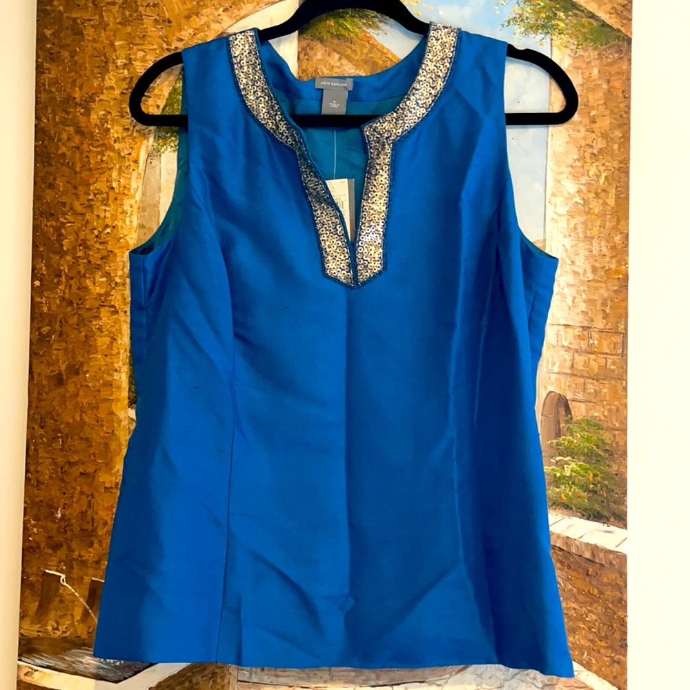 Gorgeous Ann Taylor Silk Top